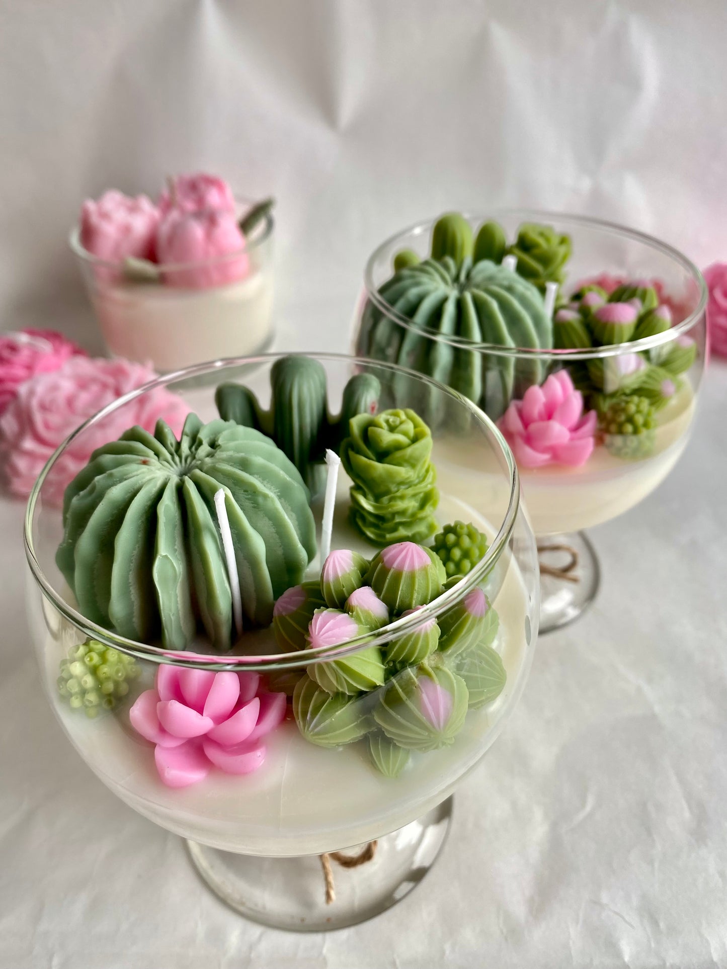 Candela “Cactus Lover ”