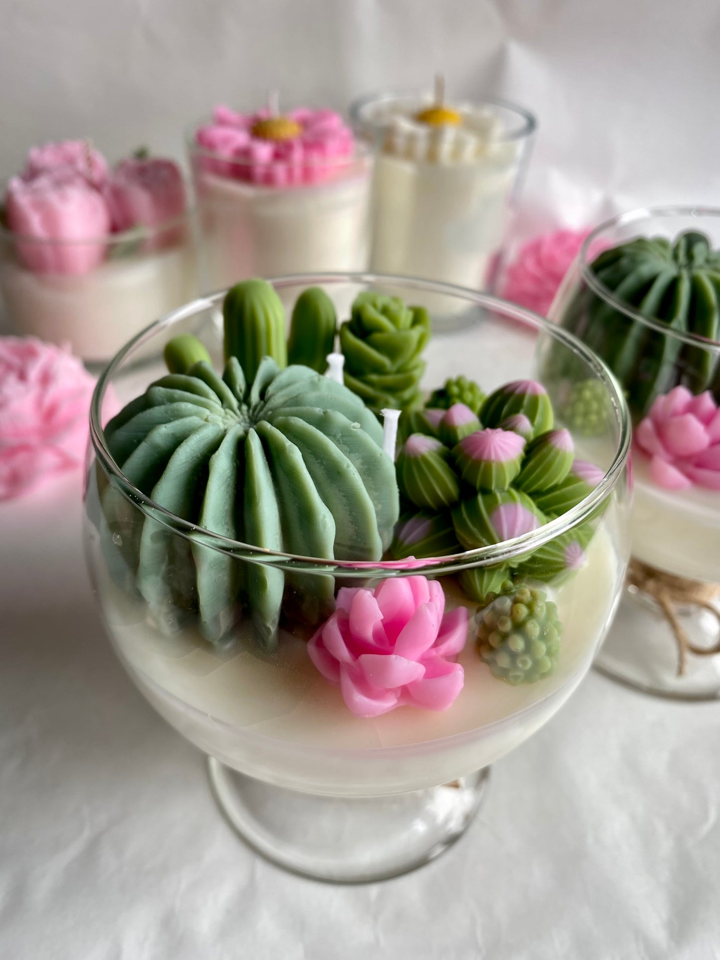 Candela “Cactus Lover ”