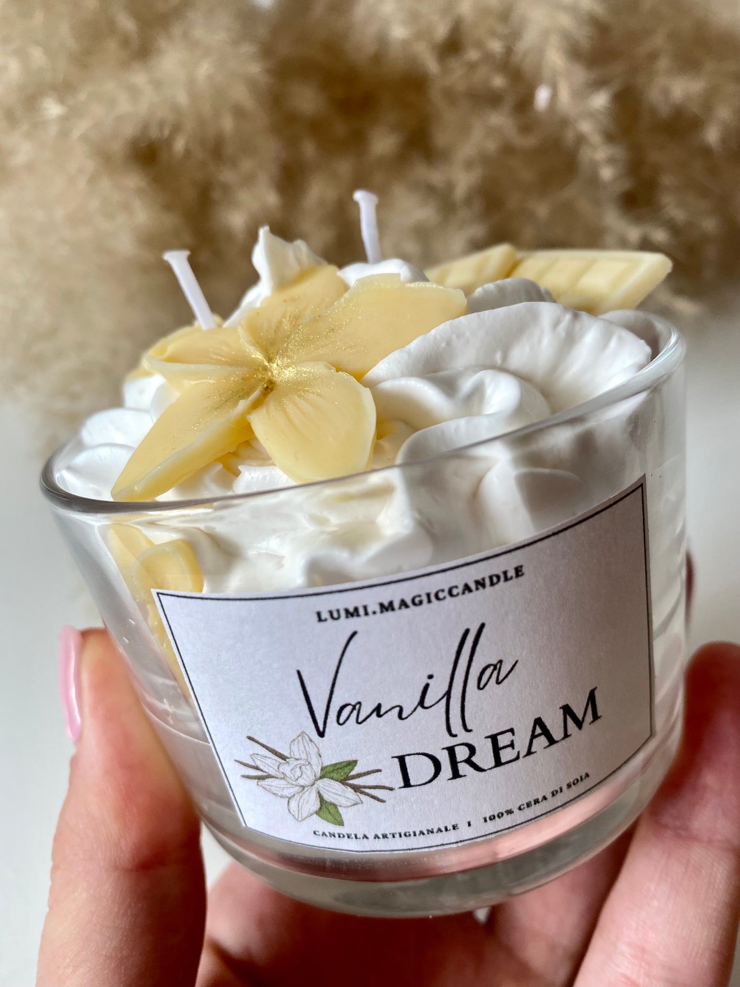 Candela “Vanilla dream “