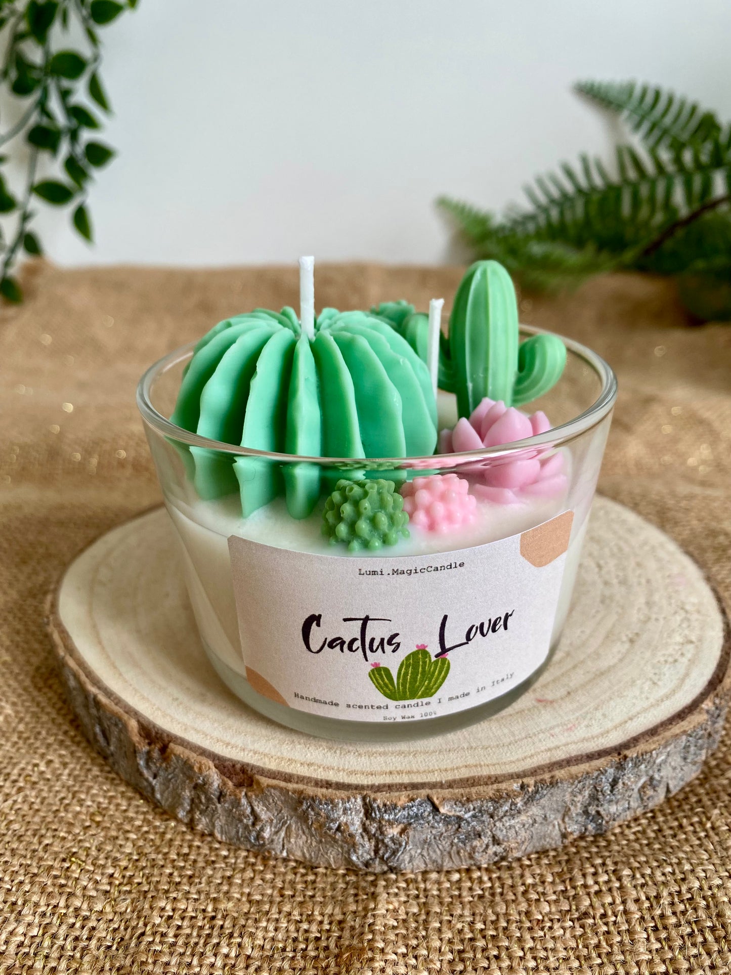 Candela “Cactus lover “