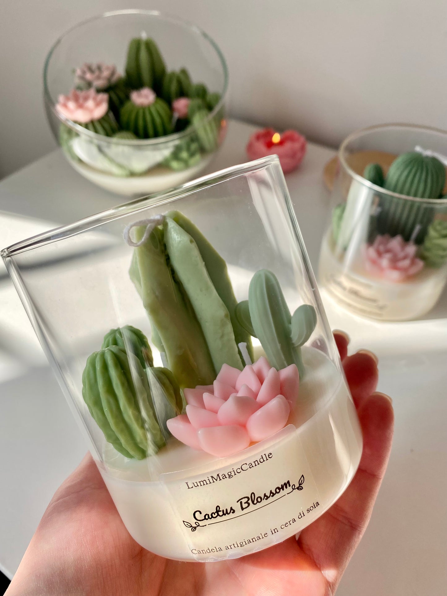 Candela Cactus Blossom